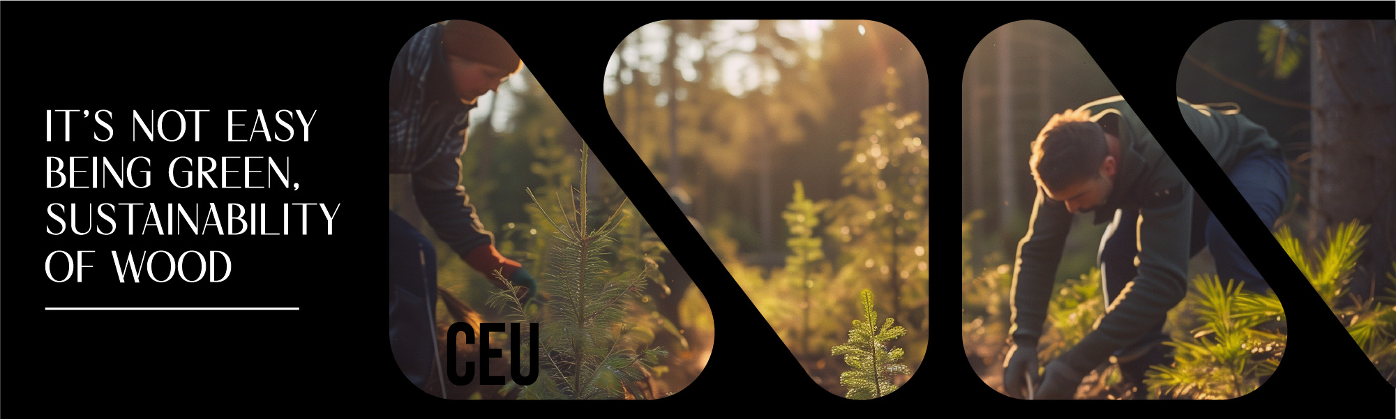 its-not-easy-being-green-CEU-header